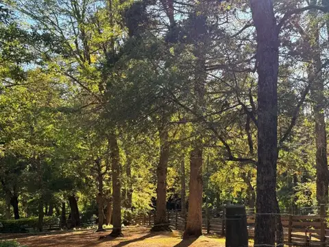 Terreno en Venta en San Martin de los Andes, Lácar