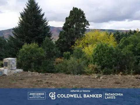 Terreno en Venta en San Martin de los Andes, Lácar