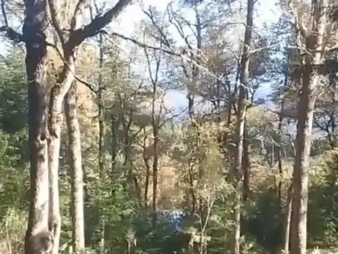 Terreno en Venta en San Martin de los Andes, Lácar
