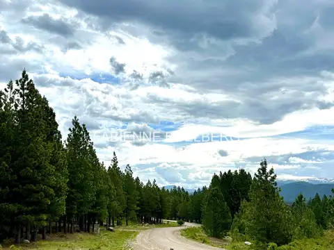 Terreno en Venta en San Martin de los Andes, Lácar