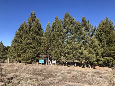 Terreno en Venta en Meliquina, Lácar