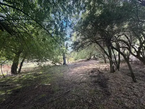 Terreno en Venta en San Martin de los Andes, Lácar