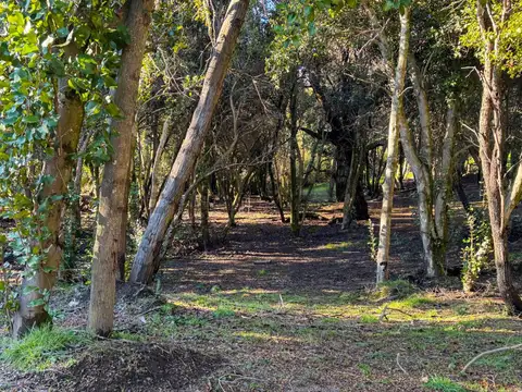 Terreno en Venta en Villa la Angostura, Los Lagos