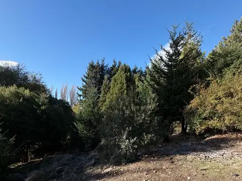 Terreno en Venta en San Martin de los Andes, Lácar