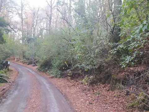 Terreno en Venta en San Martin de los Andes, Lácar
