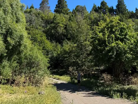 Terreno en Venta en San Martin de los Andes, Lácar