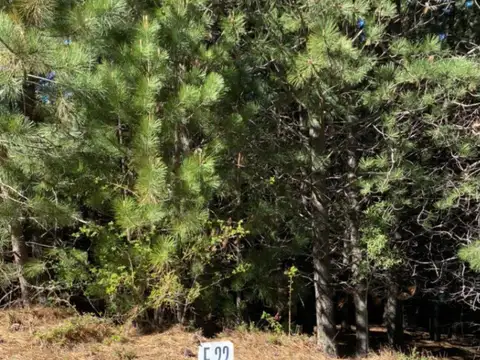Terreno en Venta en San Martín de los Andes, Lácar