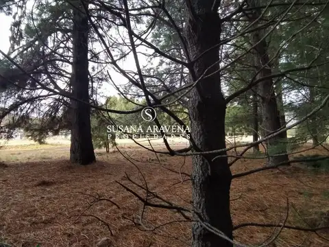 Terreno en Venta en San Martin de los Andes, Lácar
