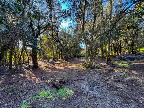 Terreno en Venta en Villa la Angostura, Los Lagos