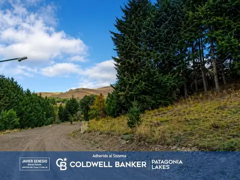Terreno en Venta en San Martin de los Andes, Lácar