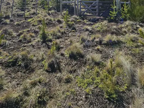 Terreno en Venta en San Martin de los Andes, Lácar