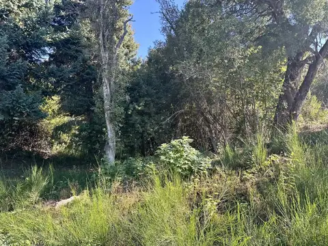 Terreno en Venta en Alihuen Alto, San Martin de los Andes