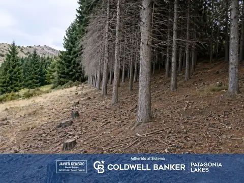 Terreno en Venta en San Martin de los Andes, Lácar