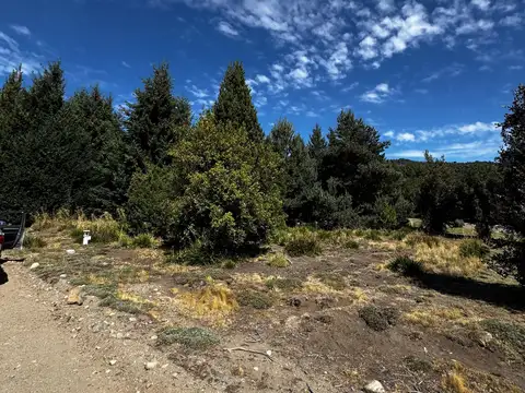 Terreno en Venta en Los Nires, San Martin de los Andes