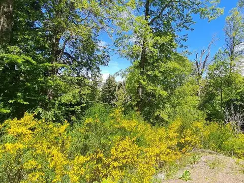 Terreno en Venta en San Martin de los Andes, Lácar