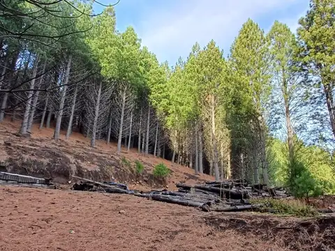 Terreno en Venta en San Martin de los Andes, Lácar