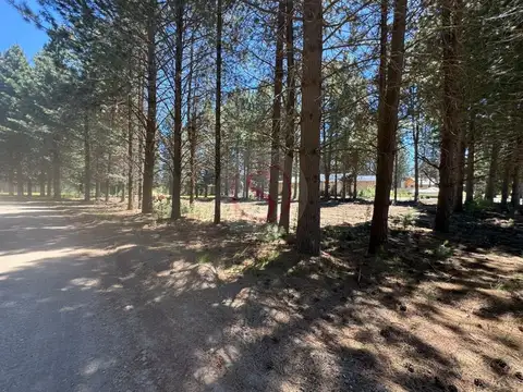 Terreno en Venta en San Martin de los Andes, Lácar