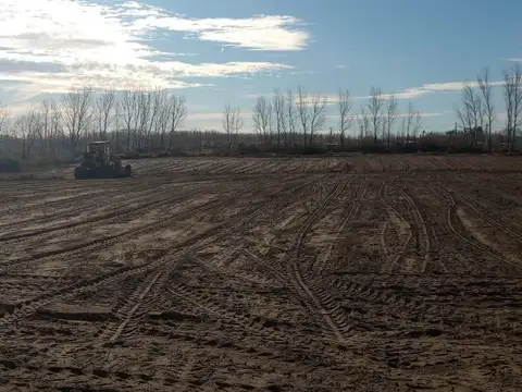 Terreno en Venta en China Muerta, Confluencia