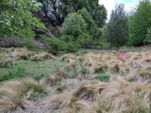 Terreno en Venta en San Martin de los Andes, Lácar