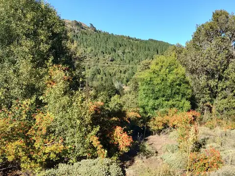 Terreno en Venta en Altos De Chapelco, San Martin de los Andes