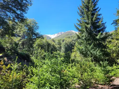 Terreno en Venta en Villa la Angostura, Los Lagos