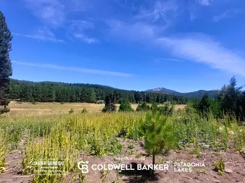 Terreno en Venta en San Martin de los Andes, Lácar