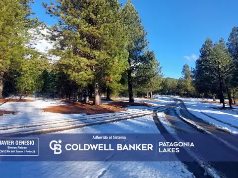 Terreno en Venta en San Martin de los Andes, Lácar