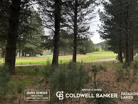 Terreno en Venta en San Martin de los Andes, Lácar