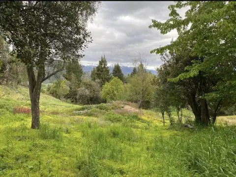 Terreno en Venta en San Martin de los Andes, Lácar