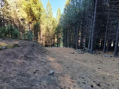 Terreno en Venta en San Martin de los Andes, Lácar
