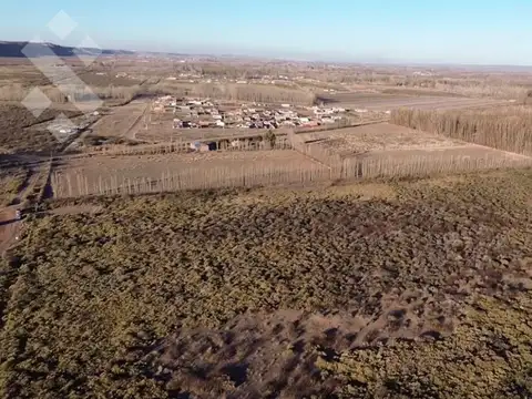 Terreno en Venta en Plottier, Confluencia