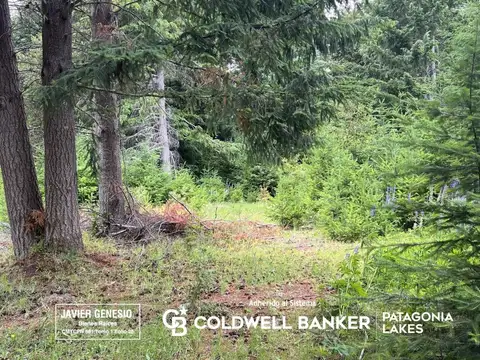 Terreno en Venta en Puerto, Villa la Angostura
