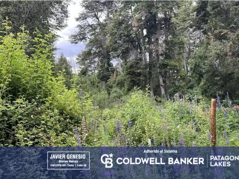 Terreno en Venta en Puerto, Villa la Angostura