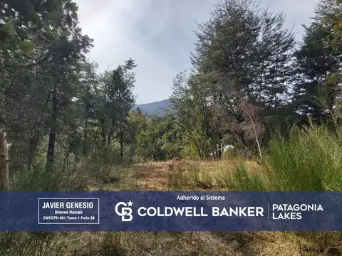 Terreno en Venta en Las Balsas, Villa la Angostura