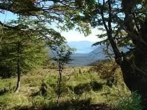 Terreno en Venta en San Martin de los Andes, Lácar