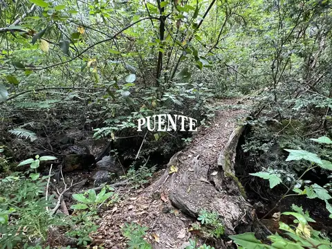 Terreno en Venta en Villa la Angostura, Los Lagos