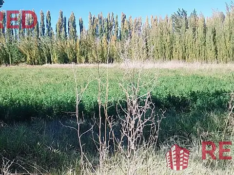 Terreno en Venta en Senillosa, Confluencia
