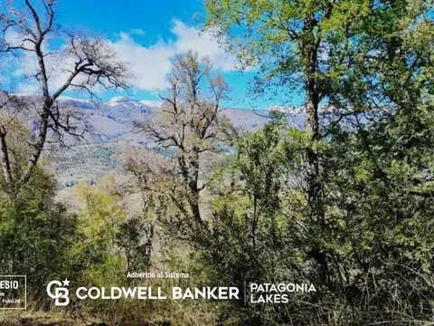 Terreno en Venta en Villa Vega Maipú, San Martin de los Andes