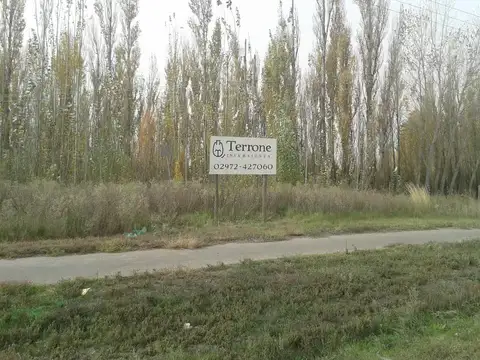 Terreno en Venta en San Patricio del Chañar, Añelo