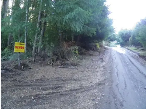 Terreno en Venta en Puerto Manzano, Villa la Angostura