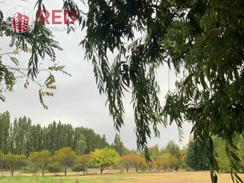 Terreno en Venta en Senillosa, Confluencia