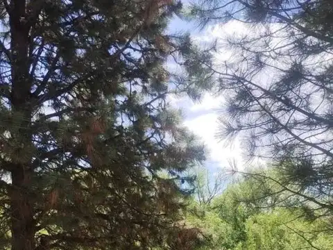 Terreno en Venta en Las Marias Del Valle, San Martin de los Andes