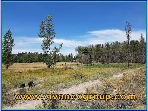 Terreno en Venta en Plottier, Confluencia