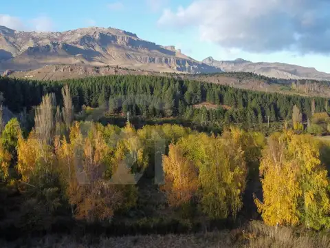 Terreno en Venta en Ruca Hue, San Martin de los Andes