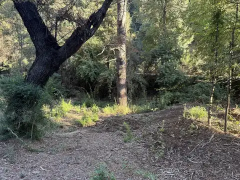 Terreno en Venta en Alihuen Alto, San Martin de los Andes