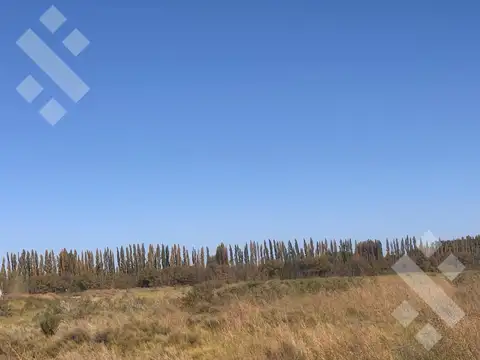 Terreno en Venta en Plottier, Confluencia
