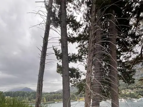 Terreno en Venta en Penínsulas Del Puerto Manzano, Villa la Angostura