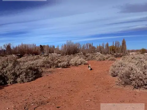 Terreno en Alquiler en Añelo, Neuquén