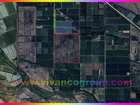 Campo en Alquiler en San Patricio del Chañar, Añelo
