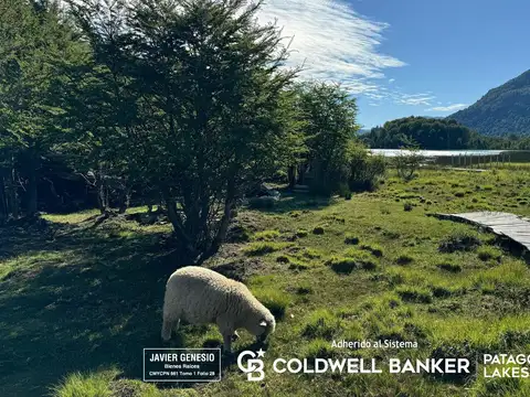 Casa en Venta en San Martin de los Andes, Lácar